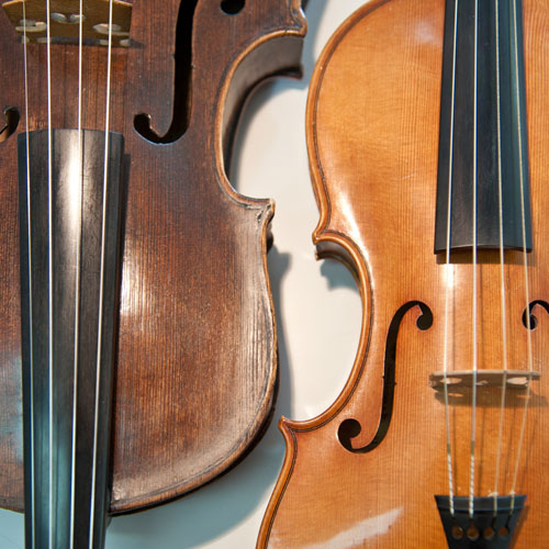 Astrid Leuthold, Violinunterricht und Musikphysiologie, Zürich - Violine, Viola, Unterricht
